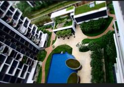 Blossom Residences (D23), Condominium #561593431